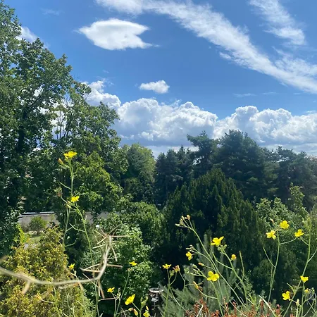 Lichtblick * راديبول