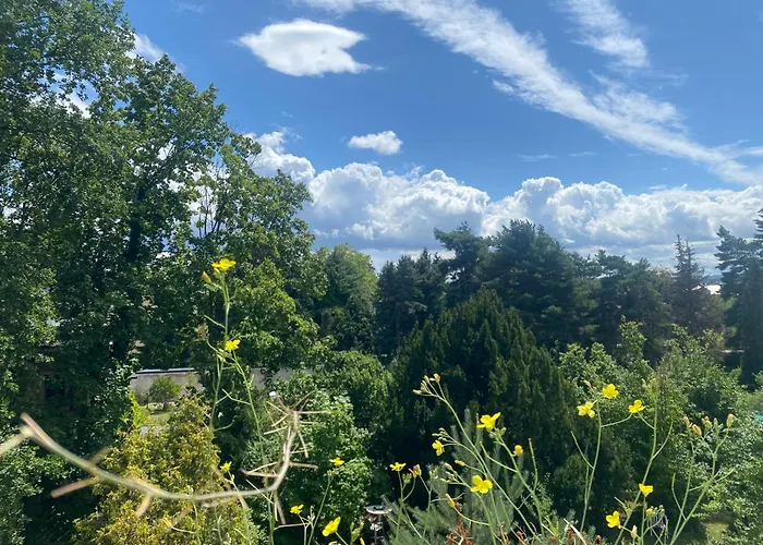 Lichtblick * Radebeul